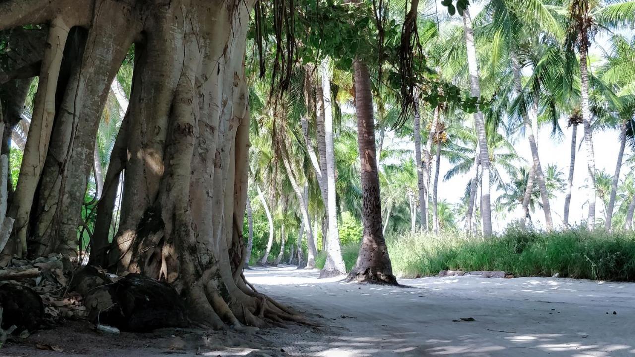 Muraka Inn Thoddoo Esterno foto