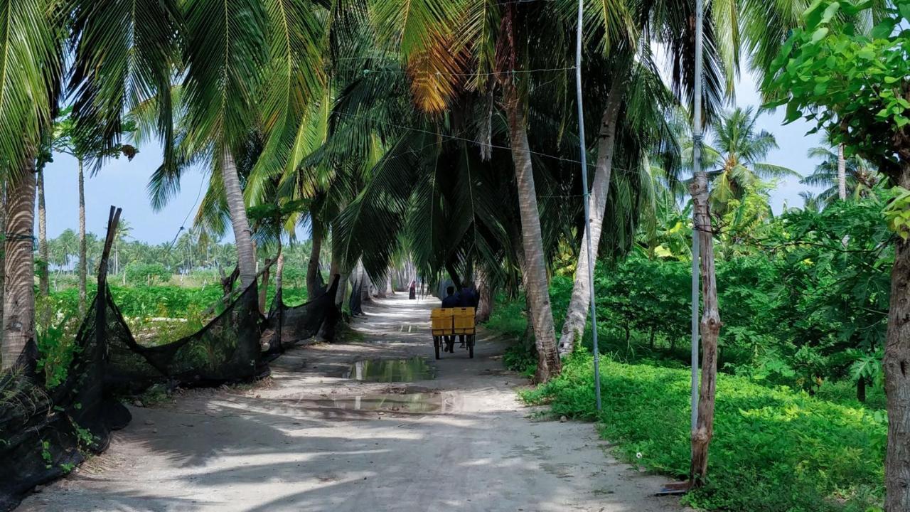 Muraka Inn Thoddoo Esterno foto