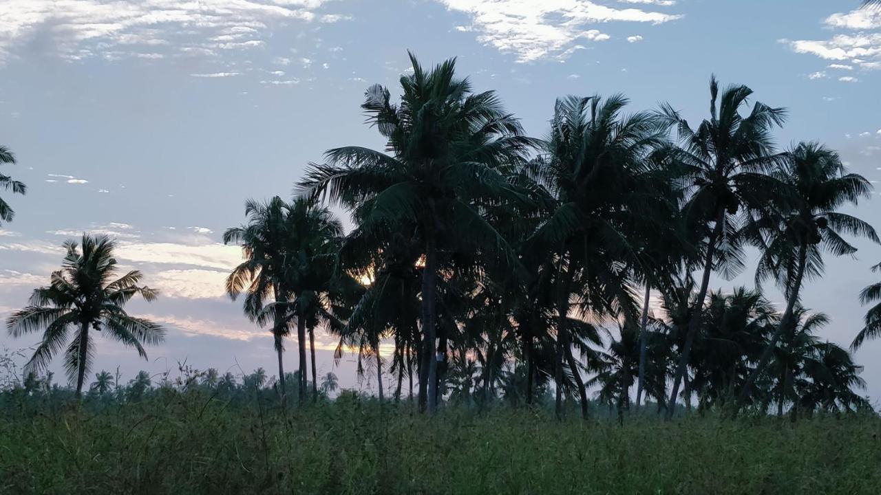Muraka Inn Thoddoo Esterno foto